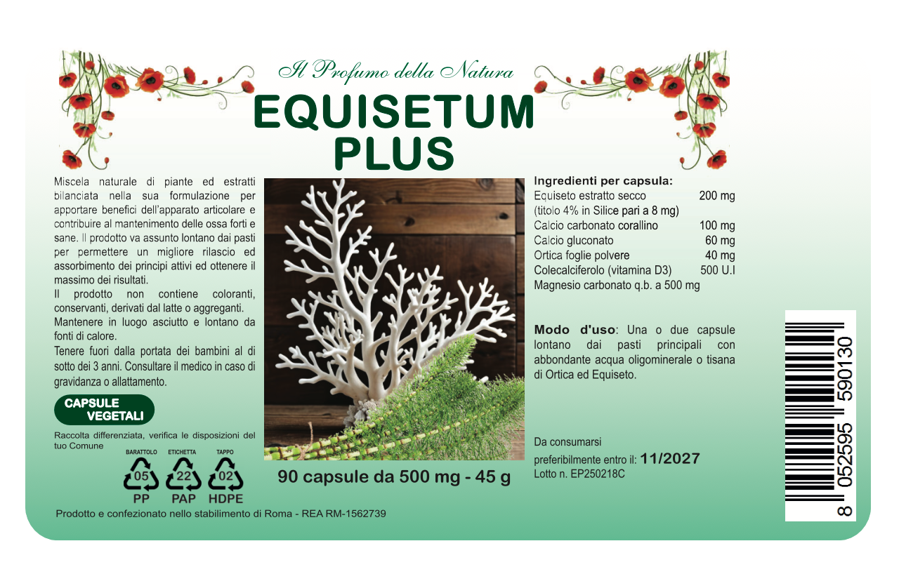 EQUISETUM PLUS