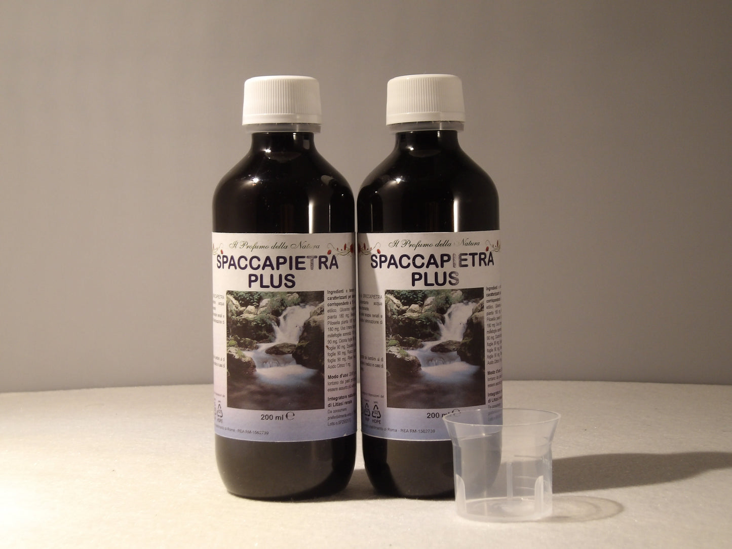 SPACCAPIETRA PLUS