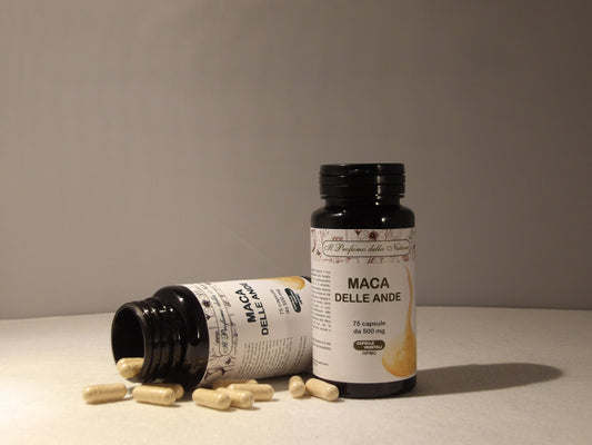 MACA DELLE ANDE