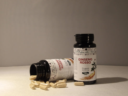 GINSENG ROSSO