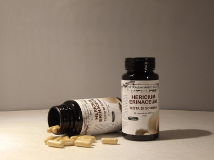 HERICIUM ERINACEUM