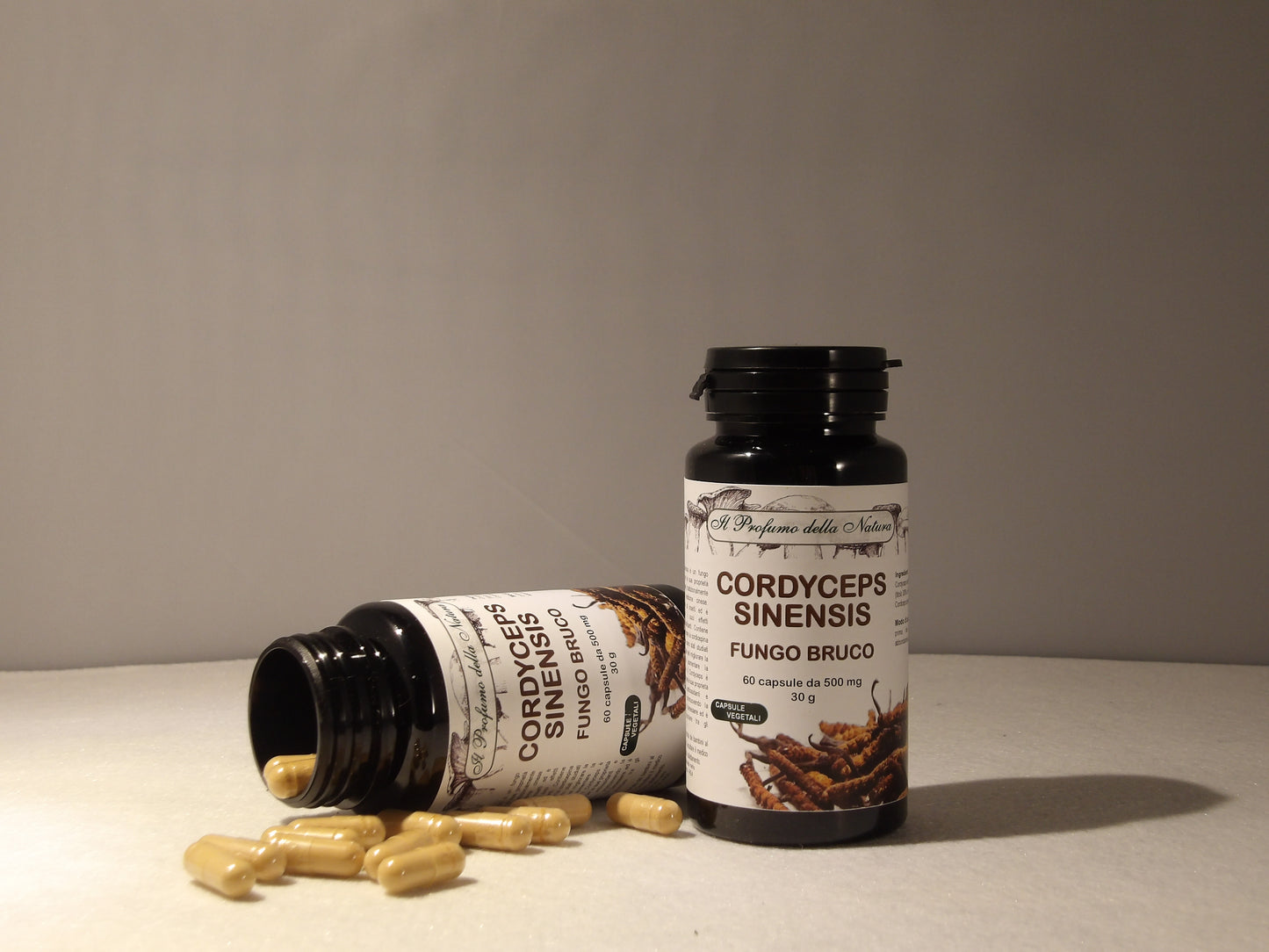 CORDYCEPS SINENSIS