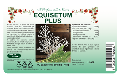 EQUISETUM PLUS