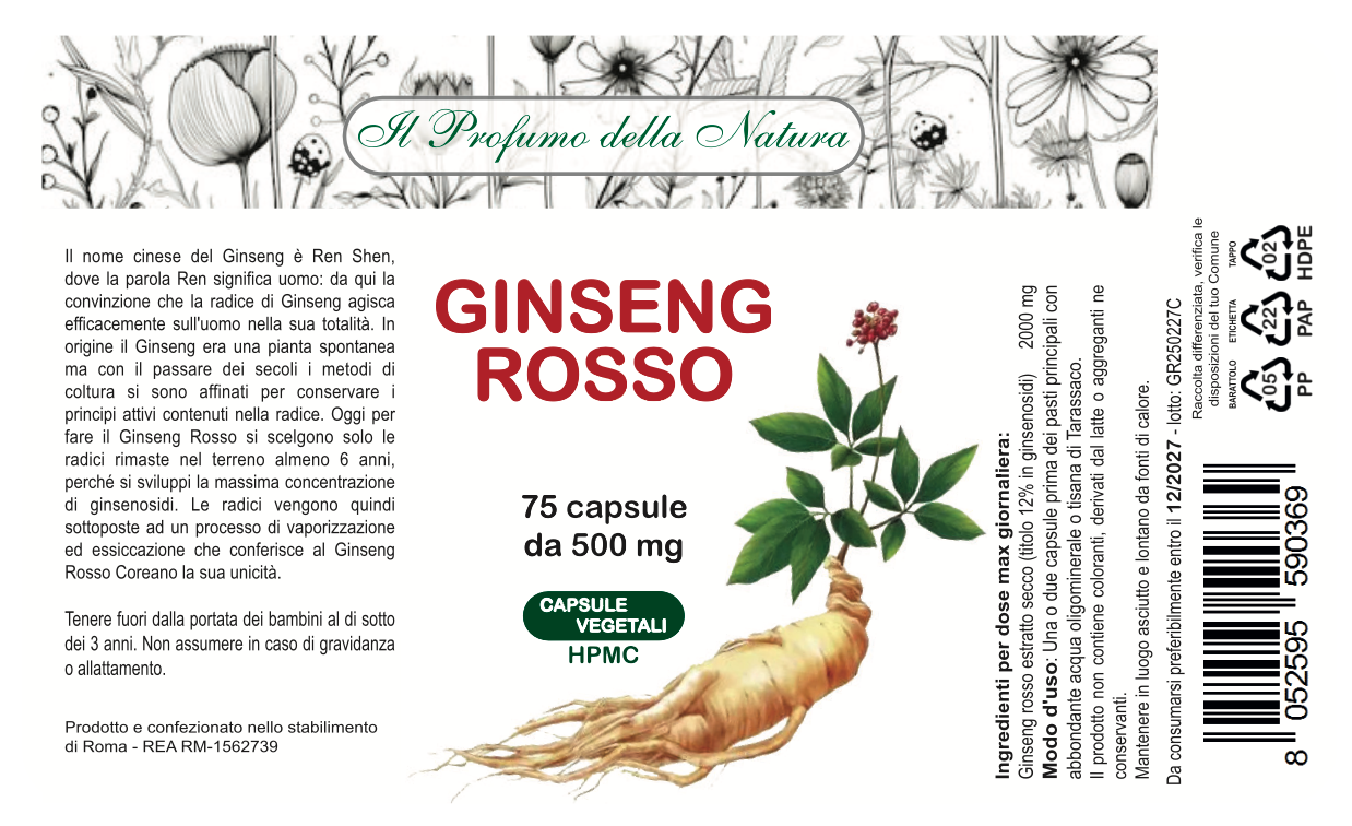GINSENG ROSSO