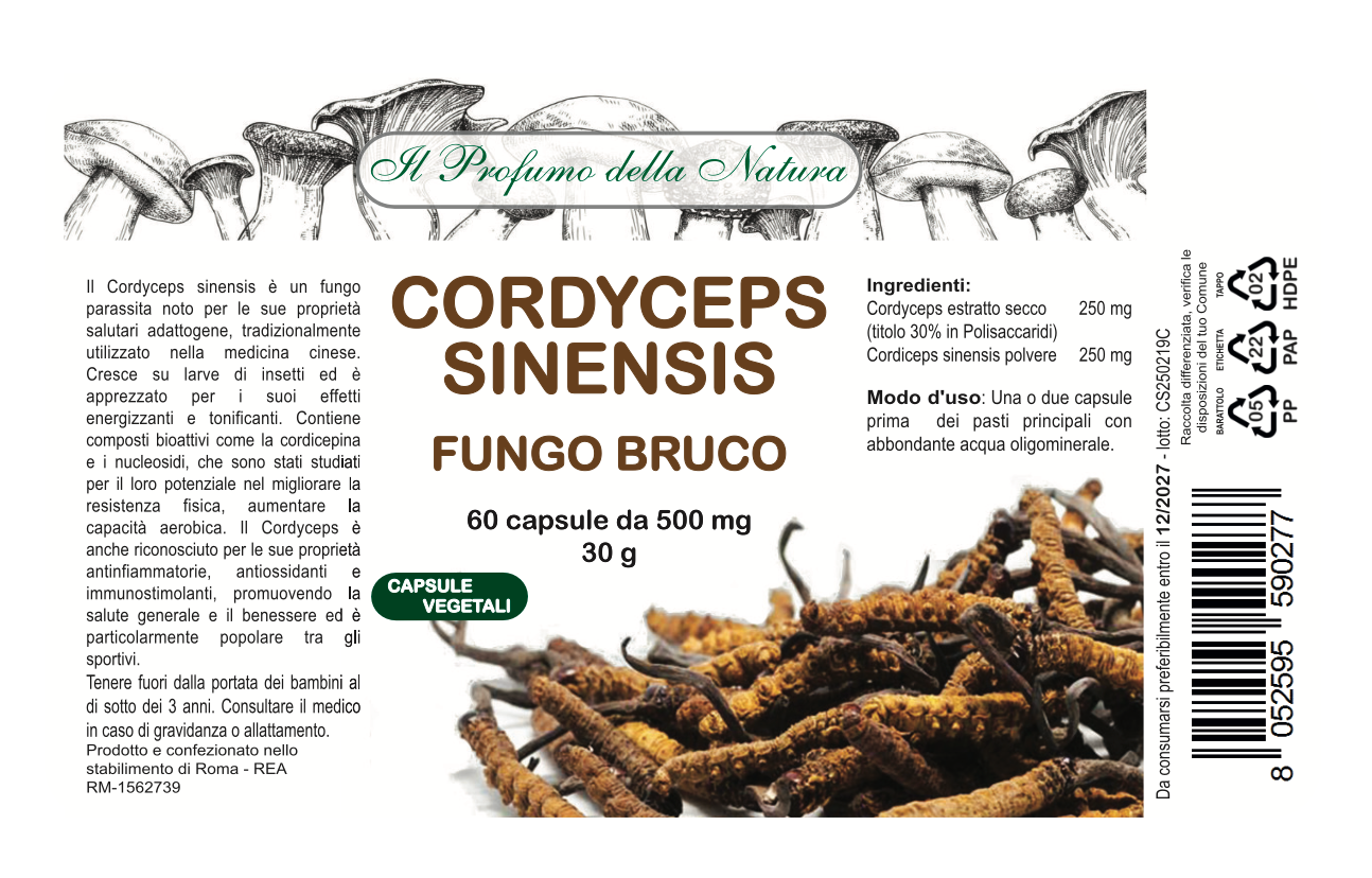 CORDYCEPS SINENSIS