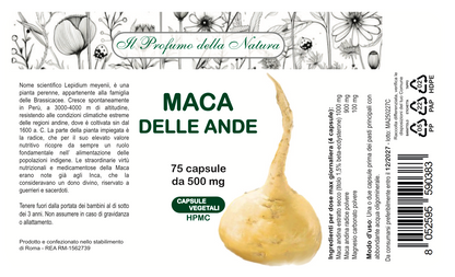MACA DELLE ANDE