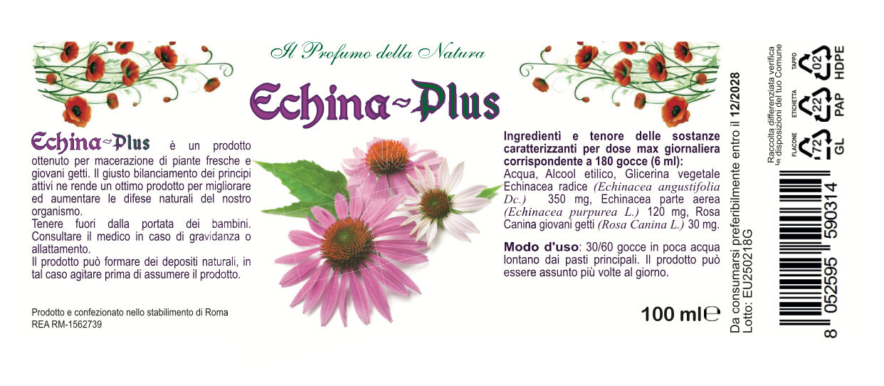 ECHINA PLUS