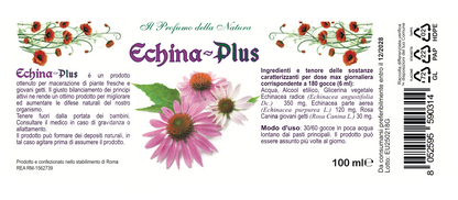 ECHINA PLUS