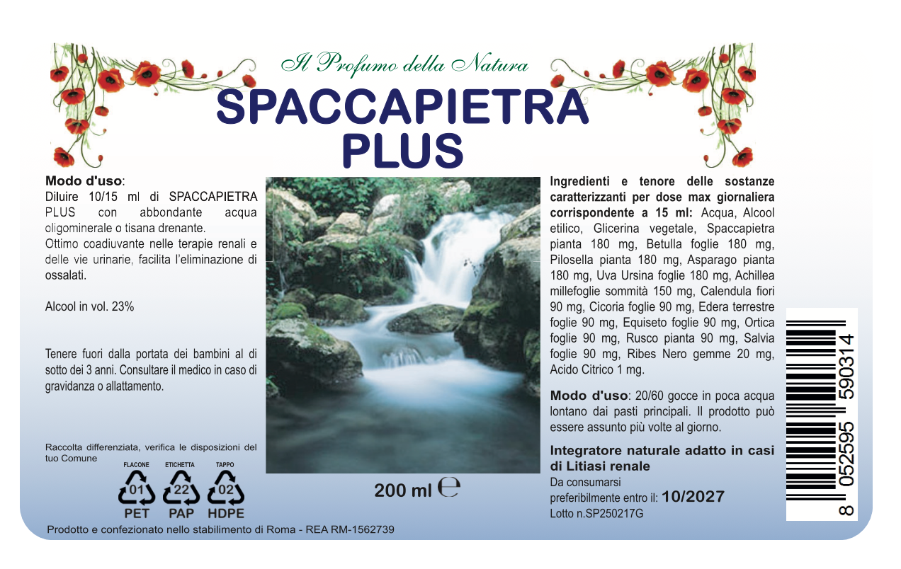 SPACCAPIETRA PLUS